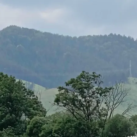 Cozy Tiny Meadow Kapslový hotel *